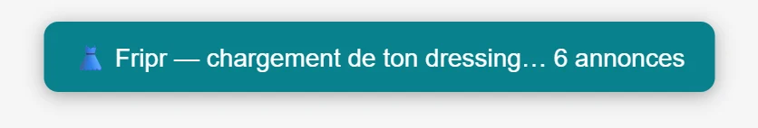 Bandeau Fripr affiché en haut de la page Vinted : «&nbsp;Fripr — chargement de ton dressing… 6 annonces&nbsp;».